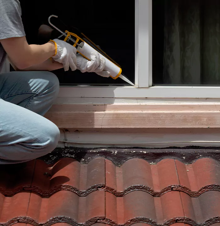 Roof Window Services in Belle Glade, Florida