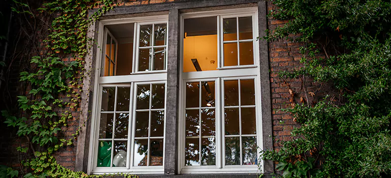 Energy Efficient Wood Windows in Belle Glade, FL
