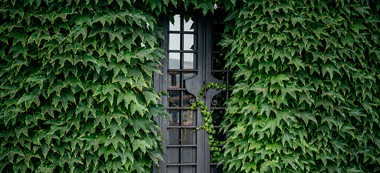 Garden Gate Repair in Belle Glade, FL