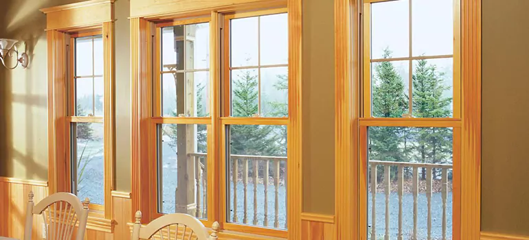 Government Incentives For Replacement Windows in Belle Glade, FL