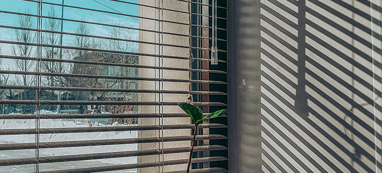 Commercial Window Blinds in Belle Glade, FL